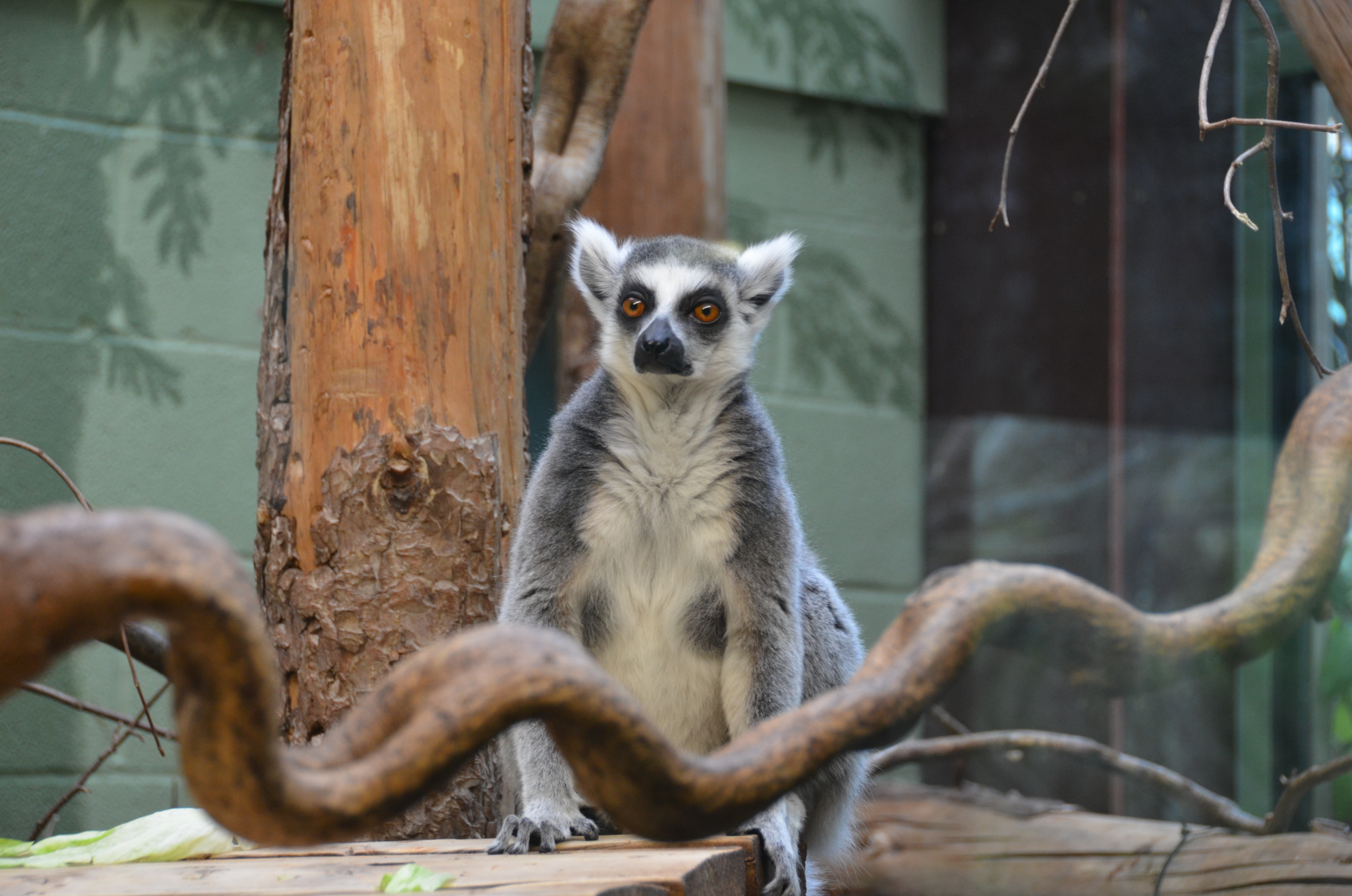 Bristol Zoo